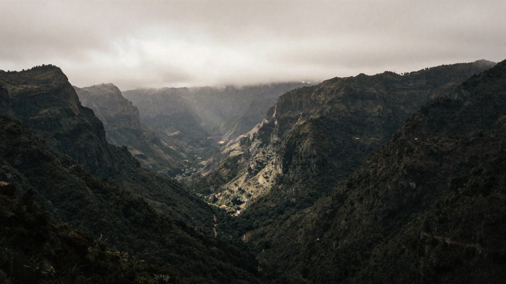 A mist-filled valley deep in the Madeiran mountains