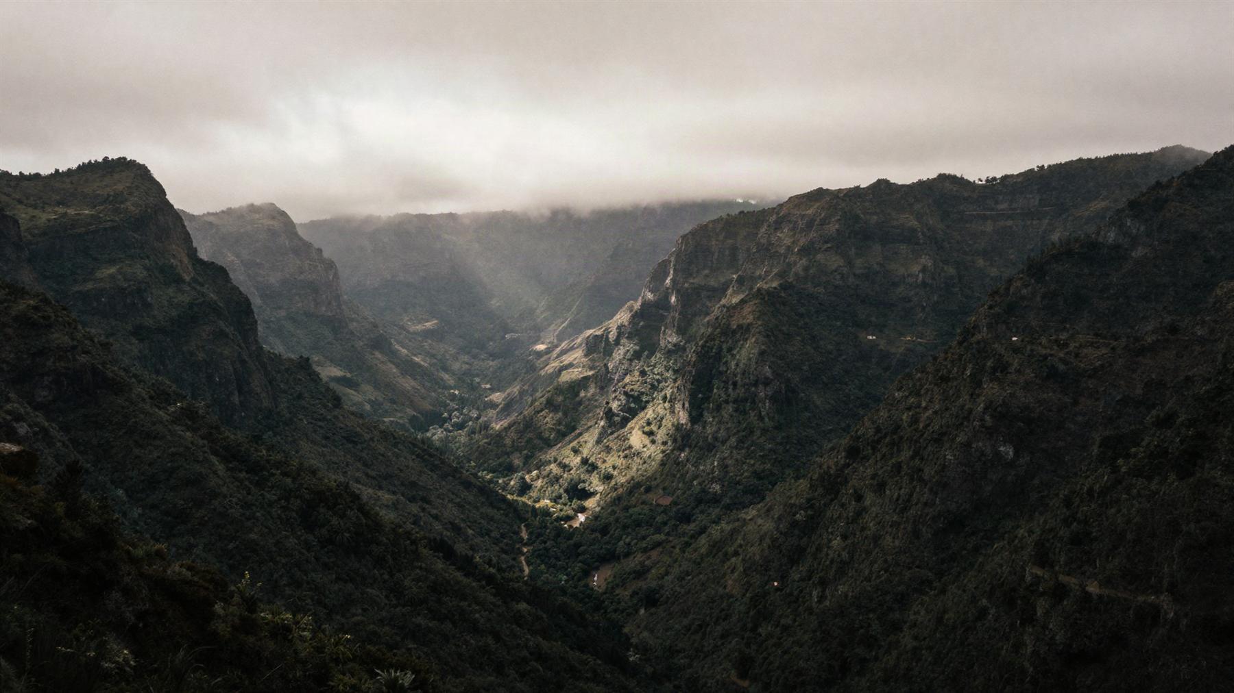 A deep, mist-filled green valley in the Madeiran interior
