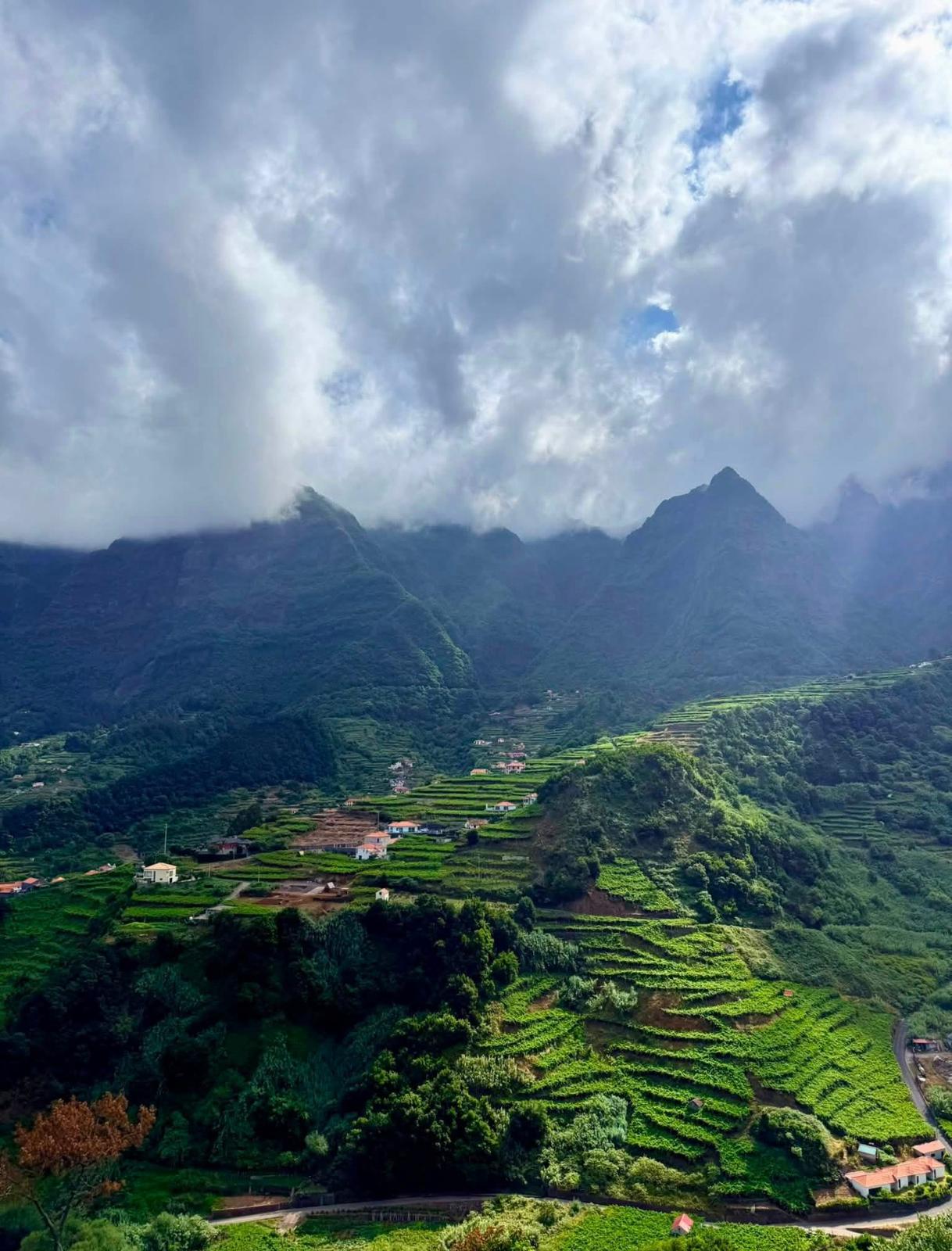 Layered ridgelines of Madeira's interior rising above a sea of cloud at dawn